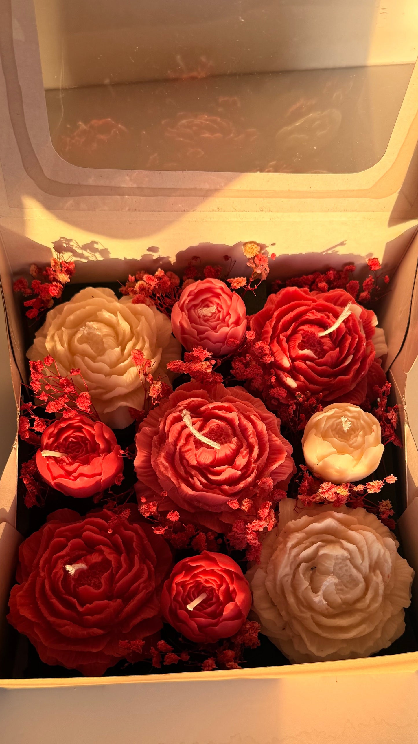 Love in Bloom Box