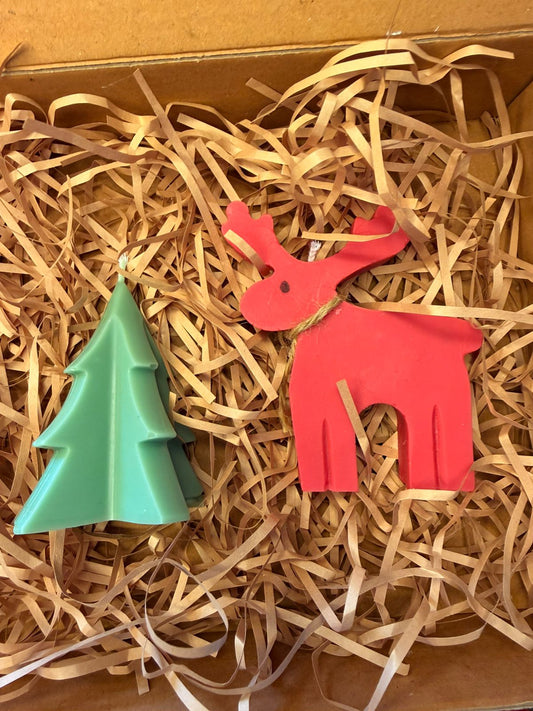 Minimalist Christmas Duo